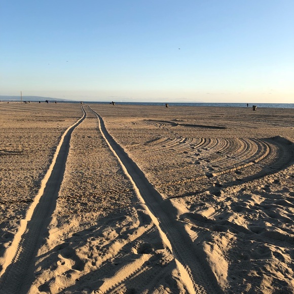 Meet your Posher, Camilla - Picture 1 of 1